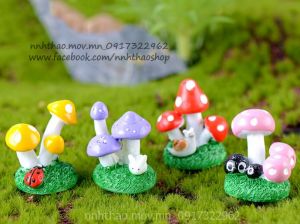 Tiểu cảnh_cụm nấm